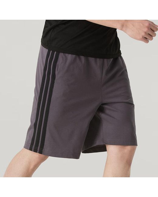 Adidas Purple Shorts for men