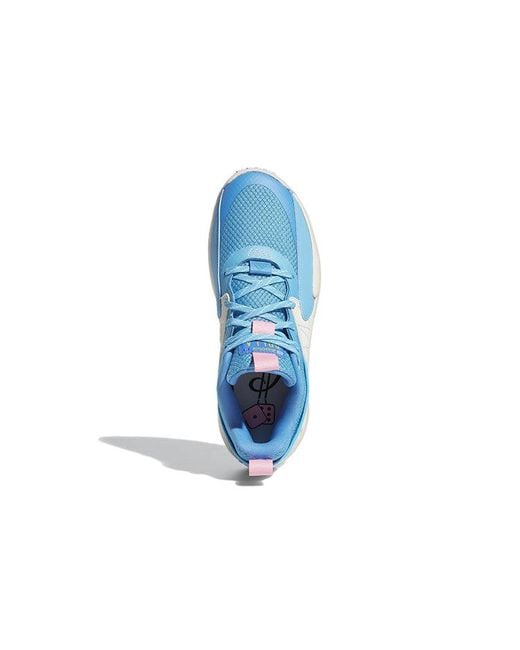 Adidas Blue Dame Certified Extply 2.0 'Signal' for men