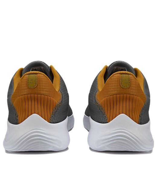 Nike Gray Flex Experience Run 11 Extra Wide for men