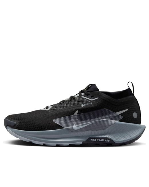 Nike Black Pegasus Trail 5 Gore-Tex Wolf' for men