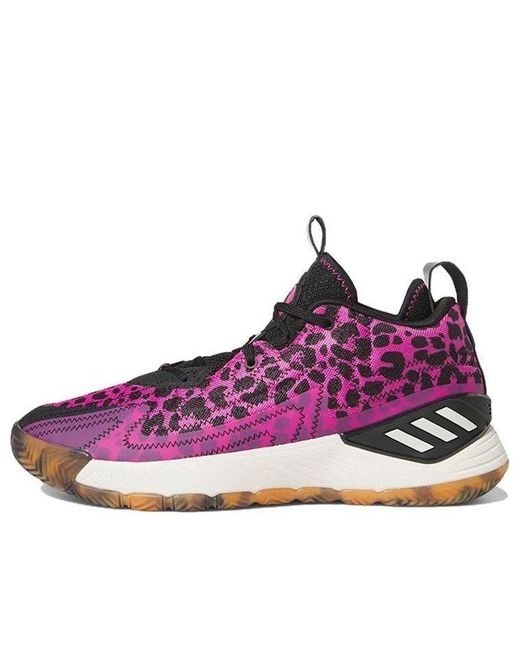 Adidas Purple D Rose Son Of Chi 2.0 X Derrick Rose for men