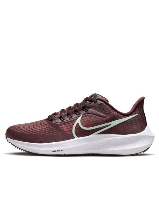 Nike Brown (Wmns) Air Zoom Pegasus 39 'Canyon Rust Burgundy Crush Mint Foam'