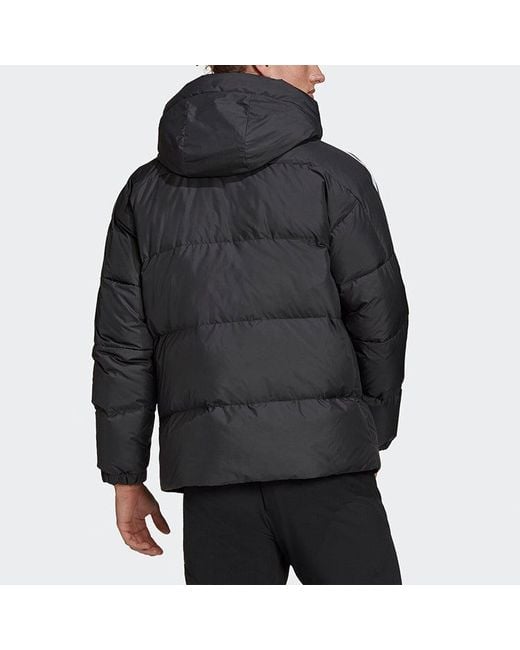 Adidas Black 3St Puff Down J Stay Warm Sports Hooded Down Jacket for men