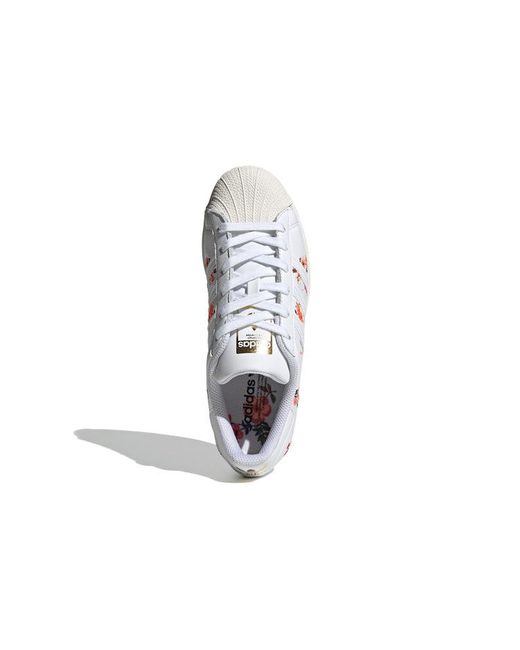 Adidas White (Wmns) Superstar Floral'