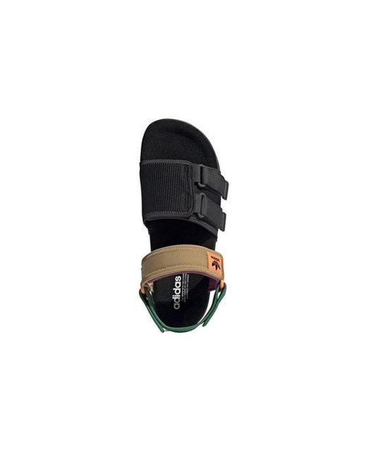 Adidas Blue Adilette Sandal 4.0 Bold' for men