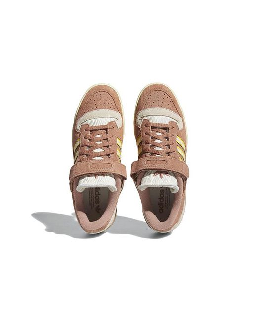 Adidas Brown Forum 84 Low for men