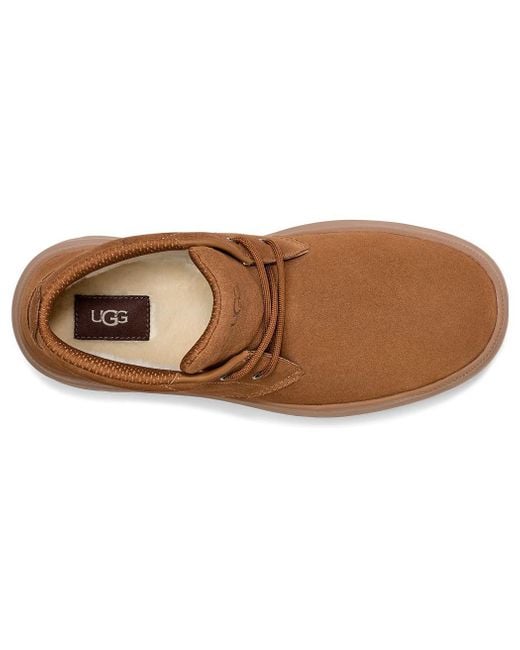 Ugg Brown Burleigh Chukka Boot 'Chestnut' for men
