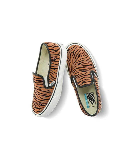 Vans Brown Slip-On Sf Sneakers for men
