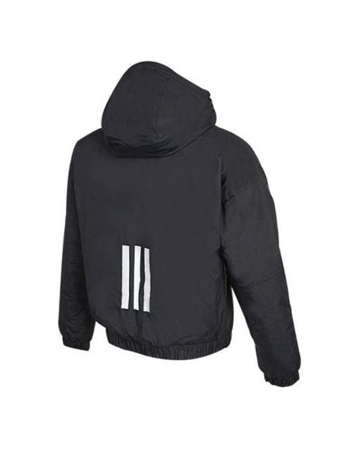 Adidas Blue (Wmns) Back To Sport Thermal Hooded Jacket