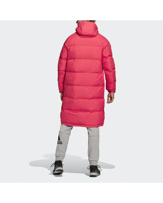Adidas Red Stay Warm Sports Hooded Down Jacket for men