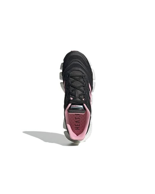 Adidas Black (Wmns) Climacool Vento
