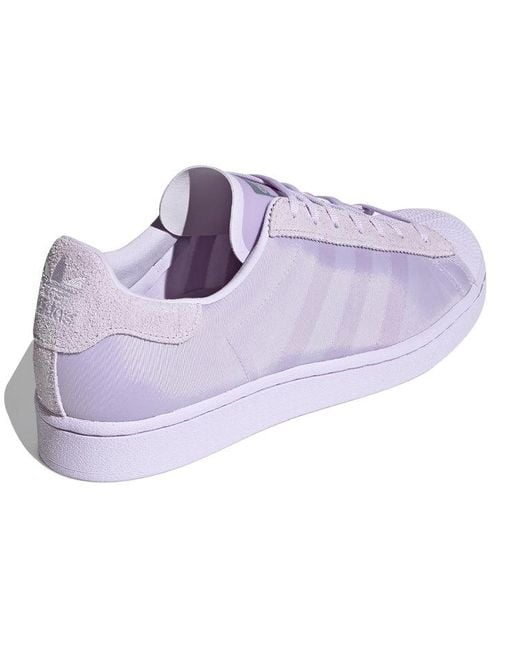 Adidas Purple Originals Superstar for men