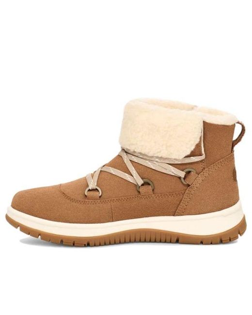 Ugg Natural (Wmns) Lakesider Heritage Lace 'Chestnut'