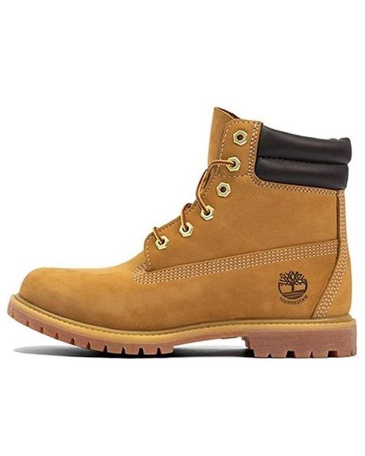 Timberland Brown 6 Inch Waterville Double Collar