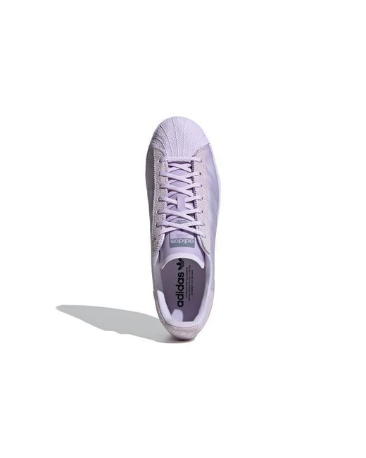Adidas Purple Originals Superstar for men