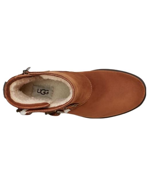 Ugg Brown (Wmns) Niels Iii Waterproof Boot 'C'