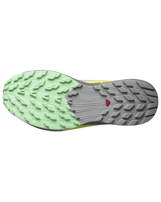 Salomon Blue Sense Ride 5 for men
