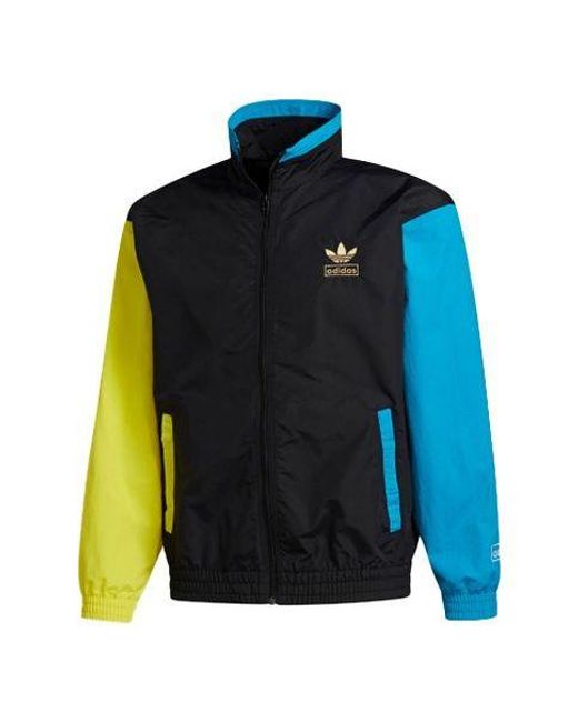 Adidas Blue Originals Shadow Tr Wb Sports Jacket for men