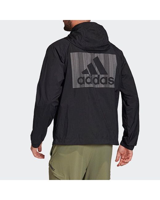 Adidas Blue Logo Casual Sports Hooded Jacket for men