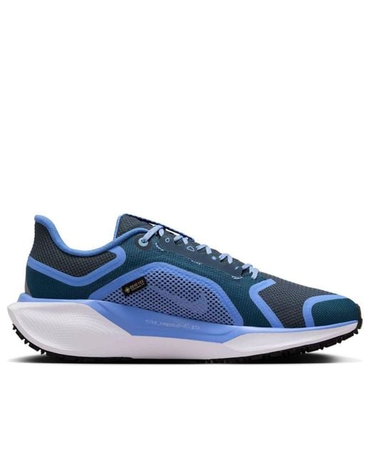 Nike Blue (Wmns) Air Zoom Pegasus 41 Gore-Tex 'Cobalt Bliss Armory'