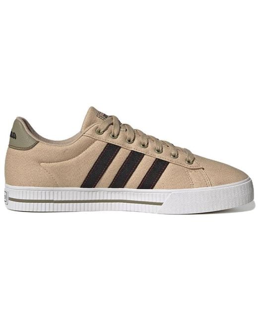 Adidas Brown Daily 3.0 Shoes 'Magic' for men