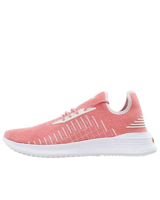 PUMA Pink Avid Evoknit Low Top for men
