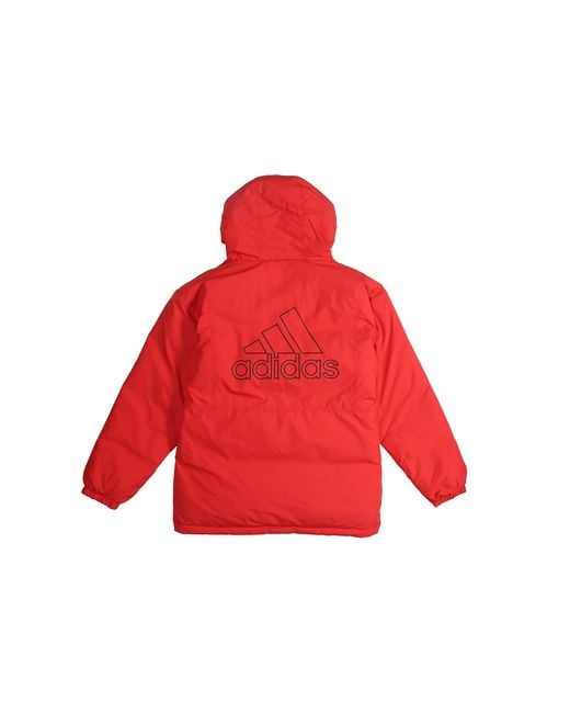 Adidas Blue Rev 3St Down Ho Stay Warm Reversible Outdoor Hooded Down Jacket for men