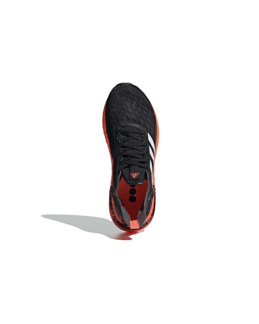 Adidas Blue (Wmns) Ultraboost Pb Signal Coral'