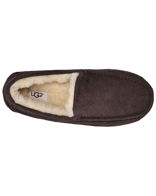 Ugg Brown Ascot Slipper Cozy Athleisure Casual Sports Shoe Fleece Lined for men