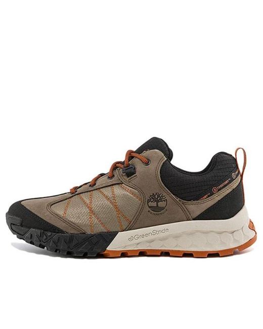 Timberland Brown Trailquest for men