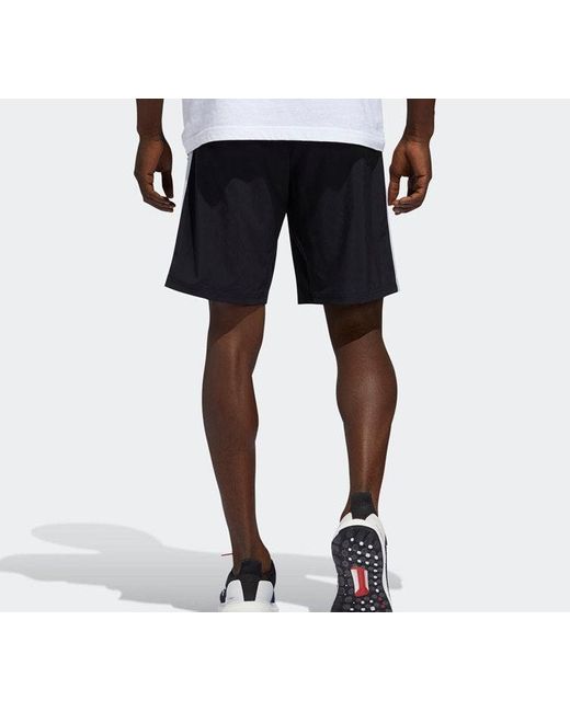 Adidas Black Short Library Shorts For for men