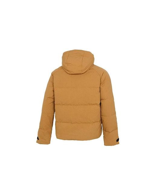 Adidas Brown Big Baffle Jkt Casual Sports Zipper Cardigan Hooded Down Jacket Turmeric for men