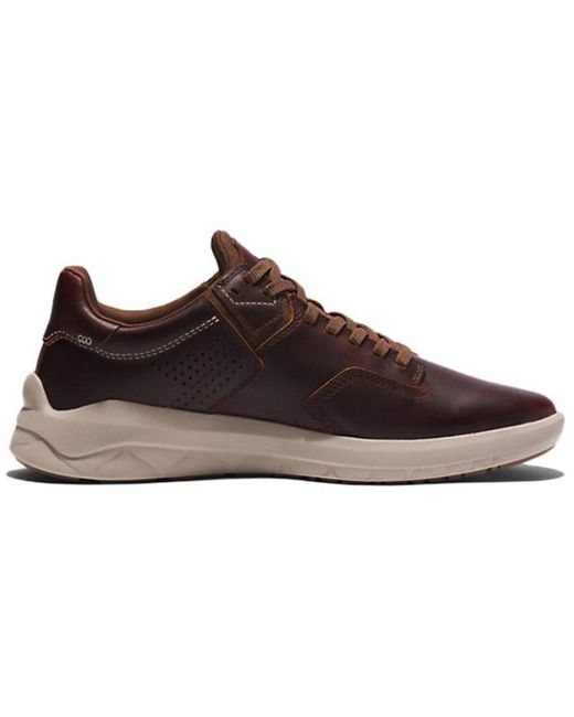 Timberland Brown Bradsreet Ultra for men