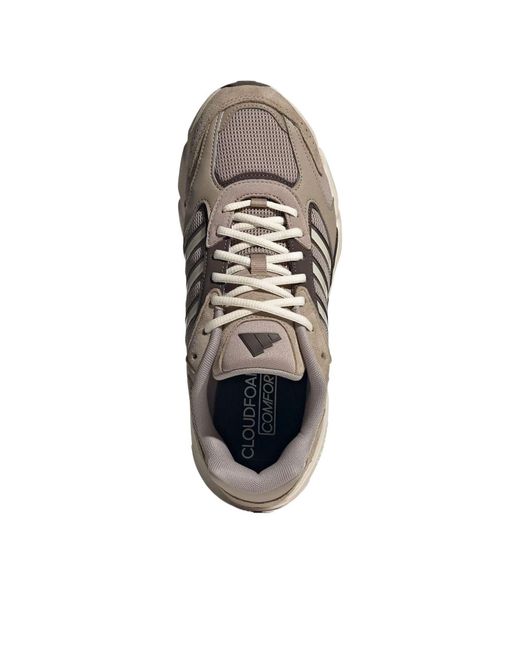 Adidas Brown Crazychaos 2000 for men