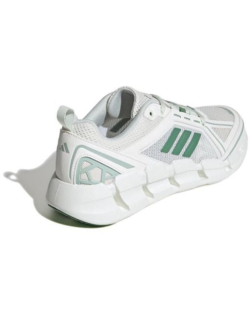 Adidas White Climacool Ventage for men