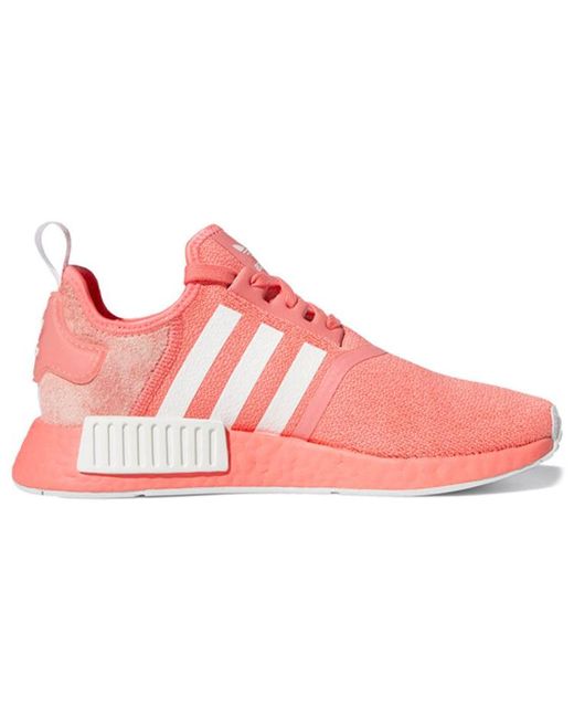 Adidas Pink (Wmns) Nmd_R1 'Semi Flash'