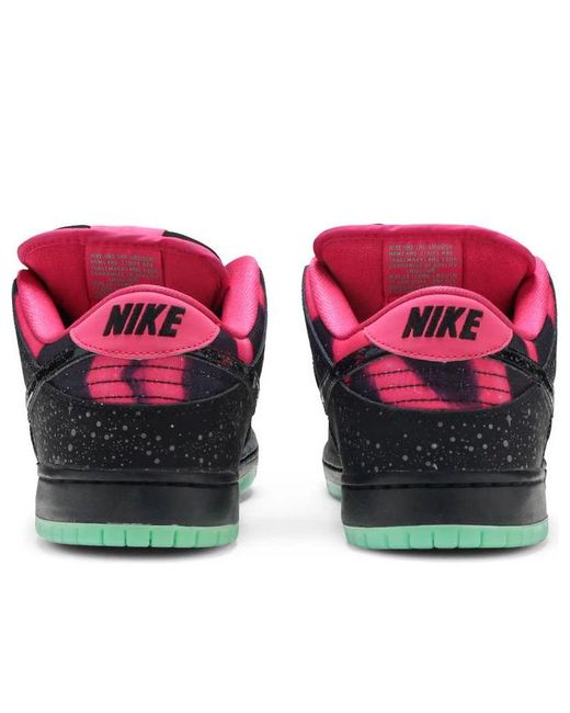 Nike Brown X Premier Sb Dunk Low Premium Ae Qs 'Northern Lights' for men