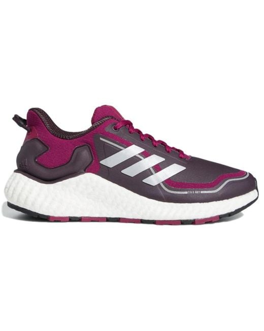 Adidas Purple (Wmns) Climawarm Ltd