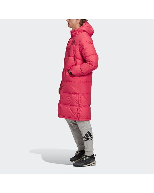 Adidas Red Stay Warm Sports Hooded Down Jacket for men