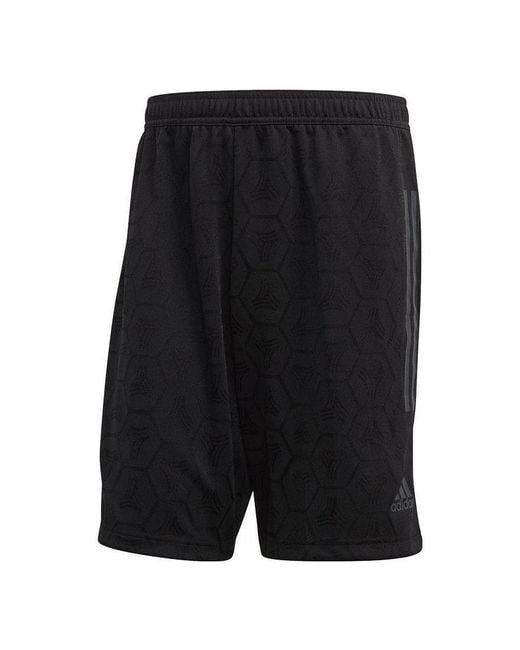 Adidas Black Tan Jacquard Shorts for men