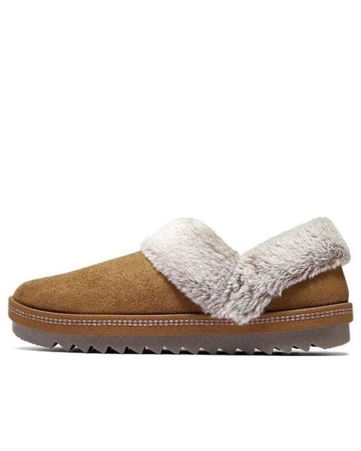 Skechers Brown (Wmns) Stq