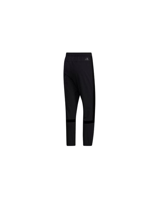 Adidas Black Ub Pnt Tiro Casual Sports Pants for men