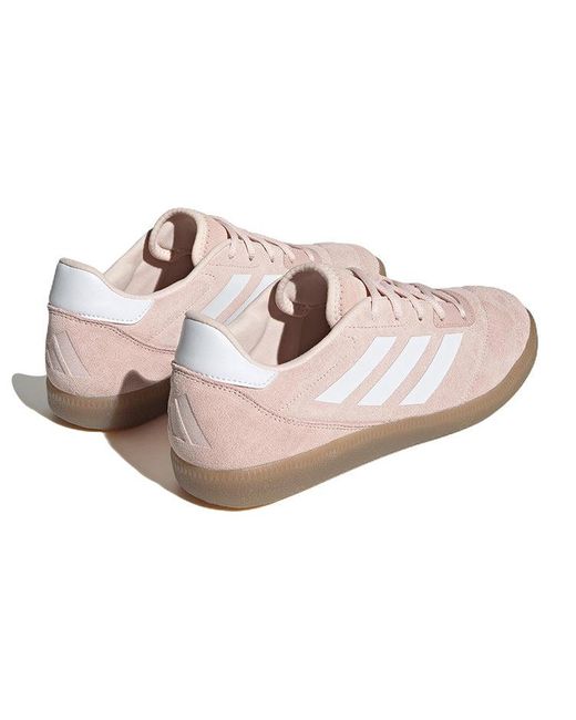 Adidas Pink Sala Court for men