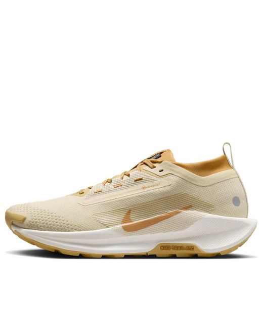 Nike Natural Pegasus Trail 5 Gore-Tex Sp 'Desert Ochre Wheat' for men
