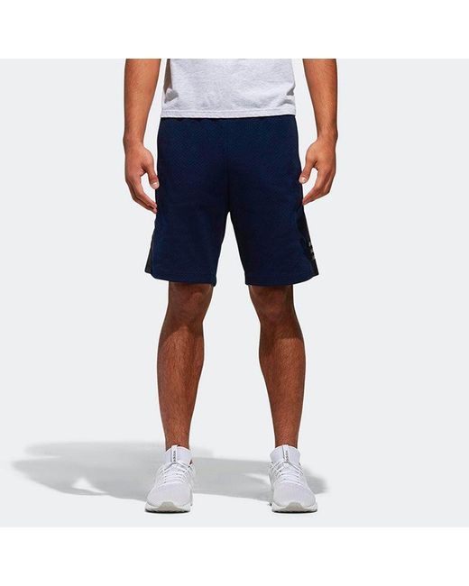 Adidas Blue Neo Cs Cnt Gr St2 Casual Breathable Sports Knit Shorts for men