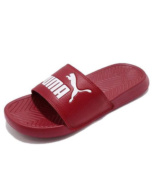 PUMA Red Popcat Sandal Slippers for men
