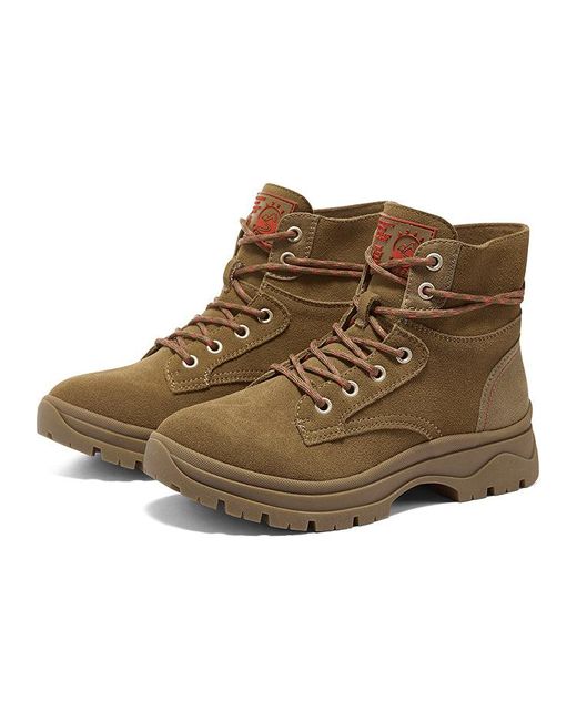 Skechers Brown (Wmns) Bobs Broadies