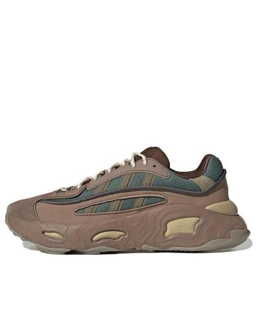 Adidas Brown Originals Oznova for men