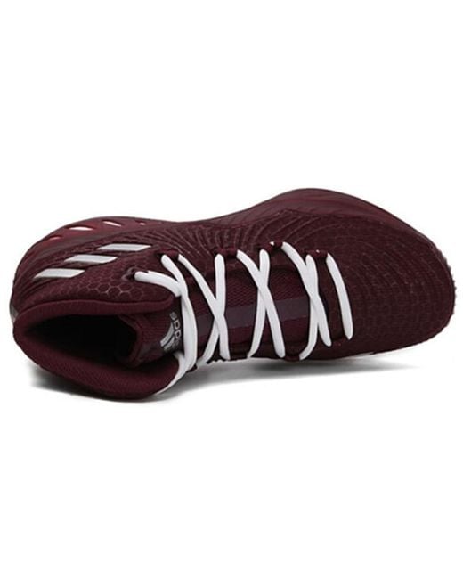 Adidas Brown Crazy Explosive 2017 for men