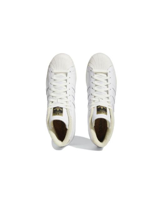 Adidas White Sam Narvaez X Pro Model Adv 'Cloud' for men